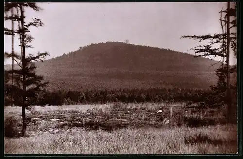 Fotografie Brück & Sohn Meissen, Ansicht Collm b. Oschatz, Blick nach dem Collmberg