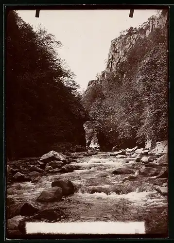 Fotografie Brück & Sohn Meissen, Ansicht Thale, Partie im Bodetal an der Teufelsbrücke