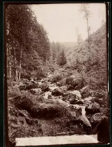 Fotografie Brück & Sohn Meissen, Ansicht Ilsenburg / Harz, Partie bei den Ilsefälle