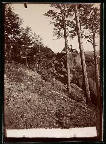 Fotografie Brück & Sohn Meissen, Ansicht Ilsenburg / Harz, Blick auf die Westerklippen