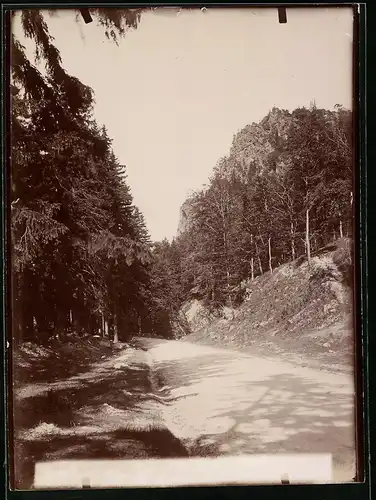 Fotografie Brück & Sohn Meissen, Ansicht Ilsenburg / Harz, Blick auf den Ilsestein im Ilsetal