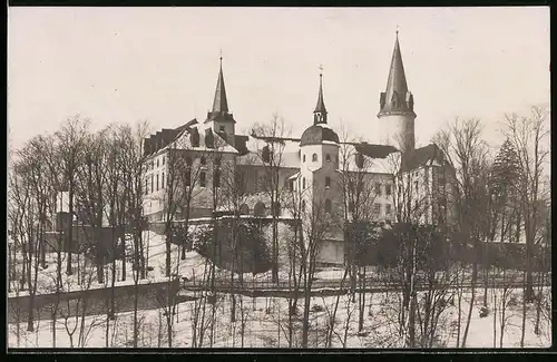 Fotografie Brück & Sohn Meissen, Ansicht Neuhausen i. Sa., das Schloss im verschneiten Winter