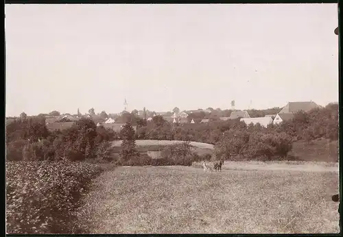 Fotografie Brück & Sohn Meissen, Ansicht Naustadt i. Sa., Blick von den Feldern nach dem Ort, Bauer bei der Feldarbeit