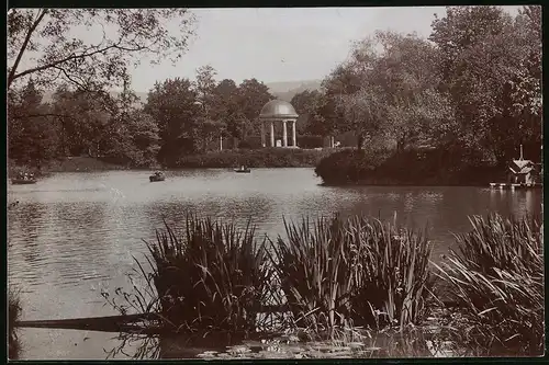 Fotografie Brück & Sohn Meissen, Ansicht Bad Elster, Partie am Gondelteich mit Pavillon