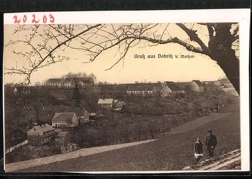 Fotografie Brück & Sohn Meissen, Ansicht Dobritz b. Meissen, Blick auf den Ort