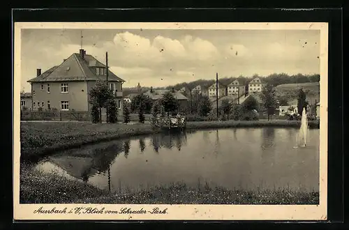 AK Auerbach i. V., Blick vom Schrader-Park