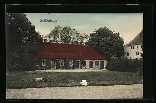 AK Schönhagen, Ortsansicht von einem Haus mit roten Dachziegeln