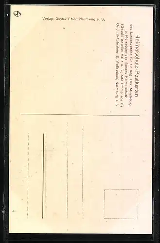 AK Naumburg a. S., Partie mit der Webergasse