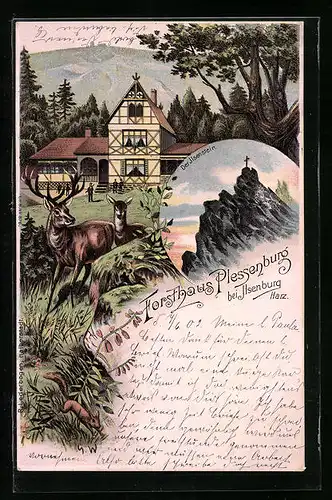 Lithographie Ilsenburg /Harz, Forsthaus Plessenburg, Der Ilsenstein