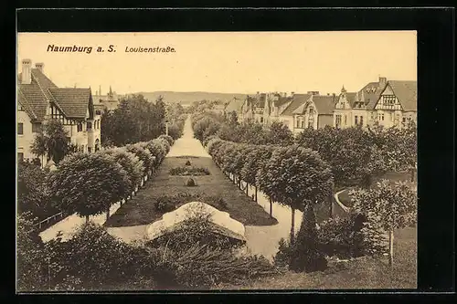 AK Naumburg a. S., Louisenstrasse aus der Vogelschau