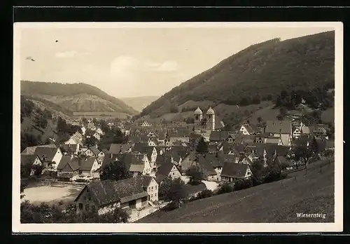 AK Wiesensteig, Ortsansicht aus der Vogelschau