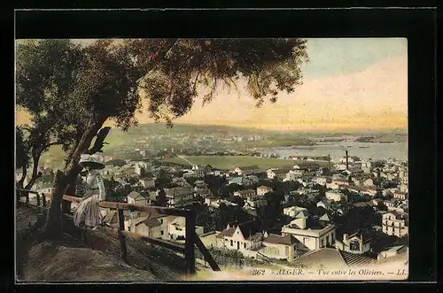 AK Alger, Vue entre les Oliviers