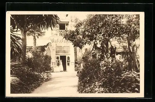 AK Alger, Jardin de l`Hôtel Saint-George