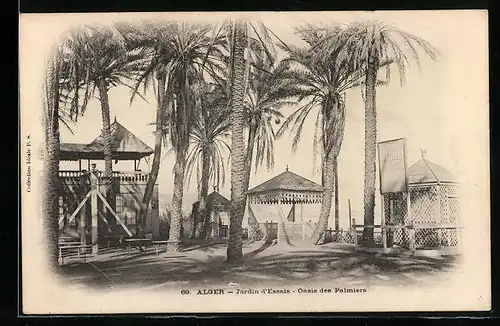 AK Alger, Jardin d`Essais - Oasis des Palmiers