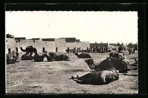 AK Colomb-Bechar, La Place des Chameaux