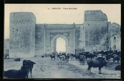 AK Meknés, Porte Bab-Djdid