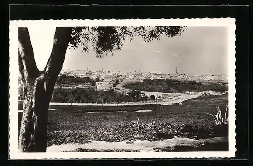 AK Meknes, Vue générale