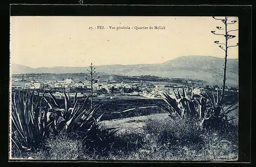 AK Fez, Vue générale-Quartier du Mellah