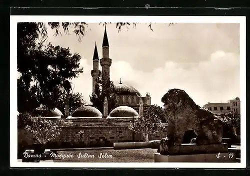 AK Damas, Mosquée Sultan Sélim