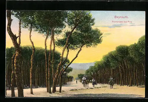 AK Beyrouth, Promenade des Pins