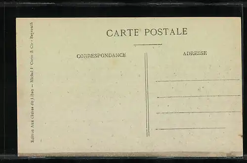 AK Baalbeck, Vue générale