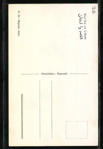 AK Baalbek, Vue Generale