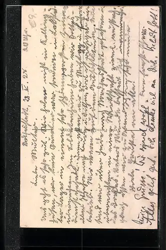 AK Burg i. Dithm., Storchnest