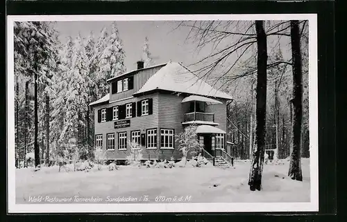 AK Sandplacken i. T., Wald-Restaurant Tannenheim