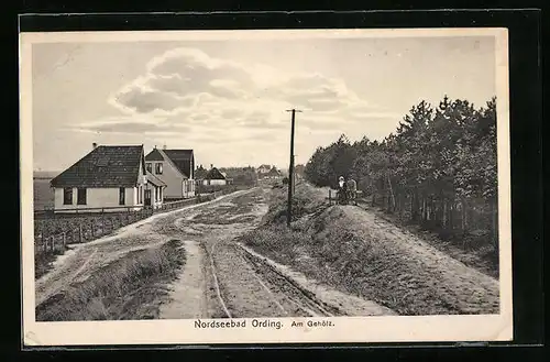 AK Ording / Nordseebad, am Gehölz