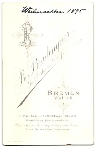 Fotografie R. Bradengeier, Bremen, Wall 16, Bürgerliche Dame im bestickten Kleid