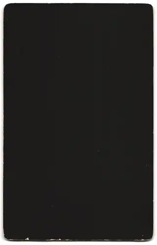 Fotografie Heinr. Brinker, Bremen, Am Wall 128, Elegant gekleideter Herr mit Vollbart