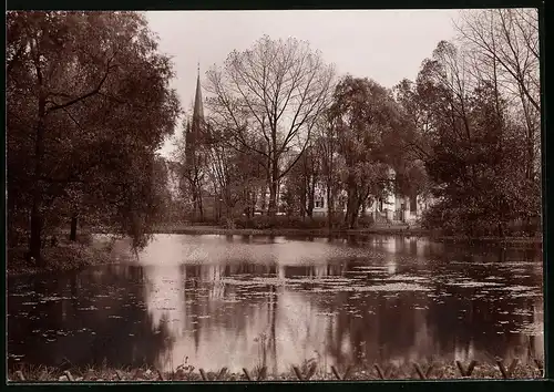 Fotografie Brück & Sohn Meissen, Ansicht Neustadt i. Sa., Blick auf den Teich im Artur Richter Park