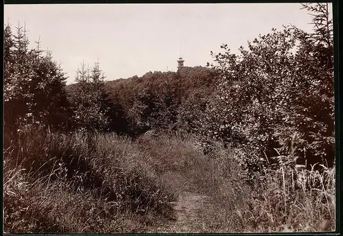 Fotografie Brück & Sohn Meissen, Ansicht Löbau, Blick nach dem Friedrich-August-Turm auf dem Löbauer Berg