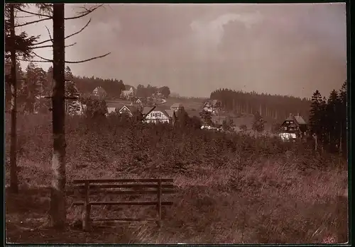 Fotografie Brück & Sohn Meissen, Ansicht Oberbärenburg i. Erzg., Blick aus dem Wald in den Ort