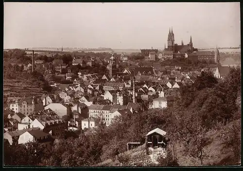 Fotografie Brück & Sohn Meissen, Ansicht Meissen i. Sa., Blick vom Stadtpark auf die Stadt