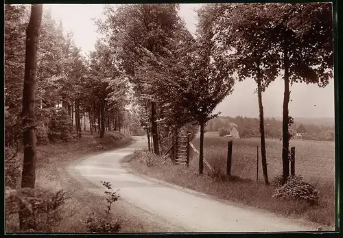 Fotografie Brück & Sohn Meissen, Ansicht Hetzdorf-Herrndorf, Strassenpartie am Forsthaus