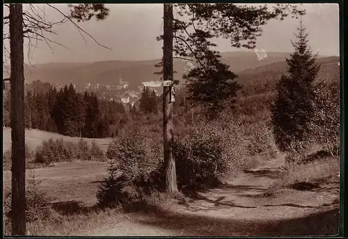 Fotografie Brück & Sohn Meissen, Ansicht Bad Elster, Partie im Wald mit Blick nach dem Ort, Weganzeiger nach Theresenruh