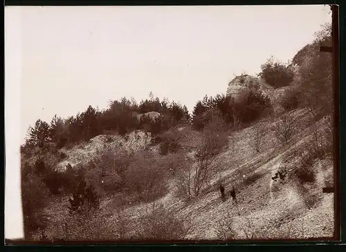 Fotografie Brück & Sohn Meissen, Ansicht Bleicherode / Harz, Blick auf die Teufelskanzel