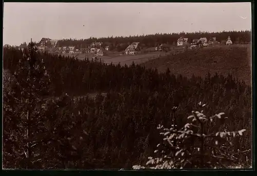 Fotografie Brück & Sohn Meissen, Ansicht Oberbärenburg i. Erzg., Blick vom Wald auf den Ort mit Villen