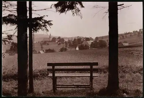 Fotografie Brück & Sohn Meissen, Ansicht Schellerhau i. Erzg., Blick vom Waldesrand zum Ort, Parkbank