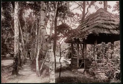 Fotografie Brück & Sohn Meissen, Ansicht Elsterwerda, Partie im Stadtpark mit Unterstandshütte