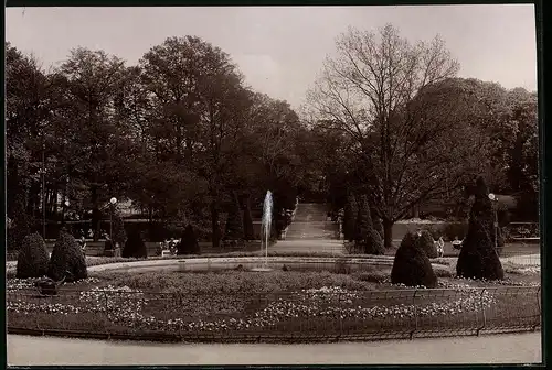 Fotografie Brück & Sohn Meissen, Ansicht Freiberg i. Sa., Partie in den Anlagen im Albertpark