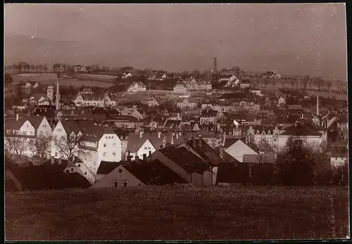 Fotografie Brück & Sohn Meissen, Ansicht Döbeln i. Sa., Blick über die Dächer der Stadt