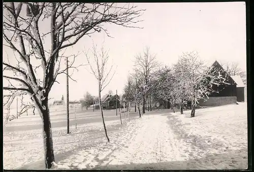 Fotografie Brück & Sohn Meissen, Ansicht Schellerhau i. Erzg., Blick entlang der Dorfstrasse im Winter