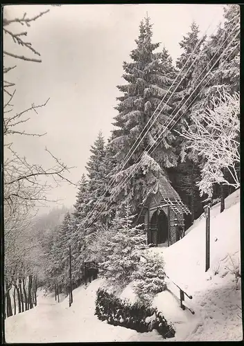 Fotografie Brück & Sohn Meissen, Ansicht Bärenfels i. Erzg., Partie am Waldesrad im Winter mit verschneitem Holztor