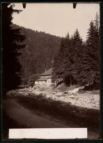Fotografie Brück & Sohn Meissen, Ansicht Okertal i. Harz, Partie im Tal an der Schneidermühle
