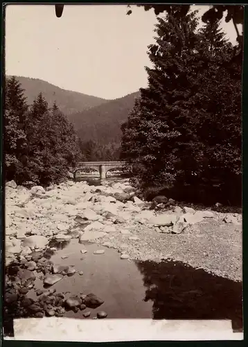 Fotografie Brück & Sohn Meissen, Ansicht Okertal / Harz, Partie an der Oker mit Blick zur Steinbrück