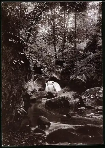 Fotografie Brück & Sohn Meissen, Ansicht Bad Berggiesshübel, Partie im Gottleubatal