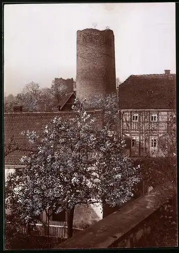 Fotografie Brück & Sohn Meissen, Ansicht Kohren, Partie an der Burgruine in der Baumblüte