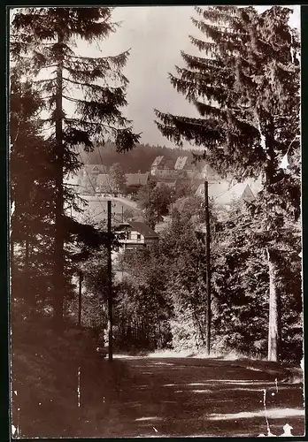 Fotografie Brück & Sohn Meissen, Ansicht Oberbärenburg i. Erzg., Blick vom Waldweg auf den Ort